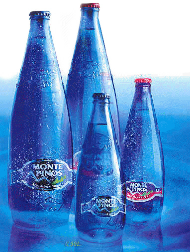 Monte Pinos Agua Mineral 12 botellas 1L - Retornable