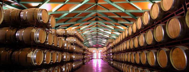 Grandes Vinos y Viñedos