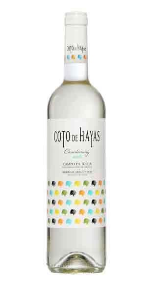 Aragonesas Coto de Hayas Blanc Jeune