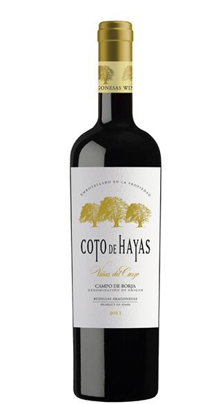 Aragonesas Coto de Hayas Viñas del Cierzo Reserva