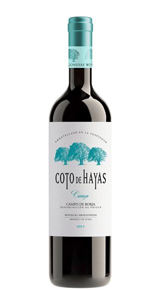 Aragonesas Coto de Hayas Crianza