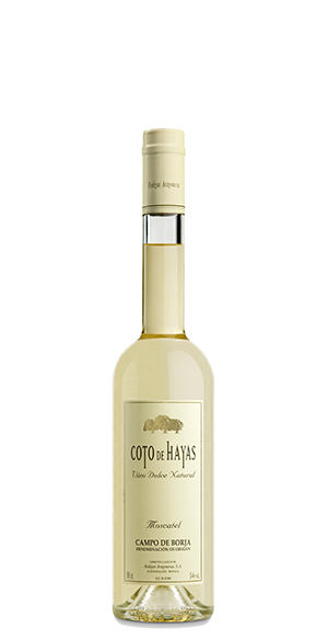 Aragonesas Coto de Hayas Moscatel